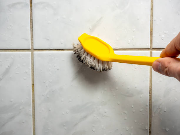 Best Certified Mold Removal  in James Island, SC