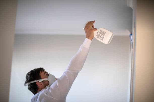 Best Affordable Mold Removal  in James Island, SC