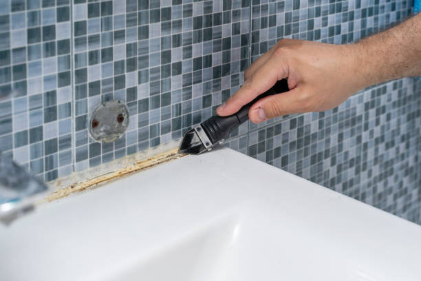Best Attic Mold Removal  in James Island, SC