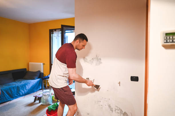 Best Crawl Space Mold Removal  in James Island, SC